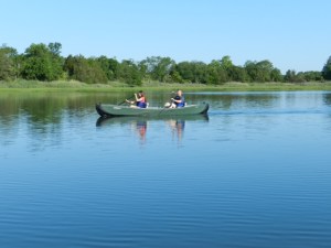 With Summer Foliage One Would Almost Think Your Are In A Remote Wilderness